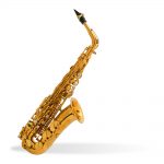 Selmer Paris Reference 54 Saxo Alto Mib