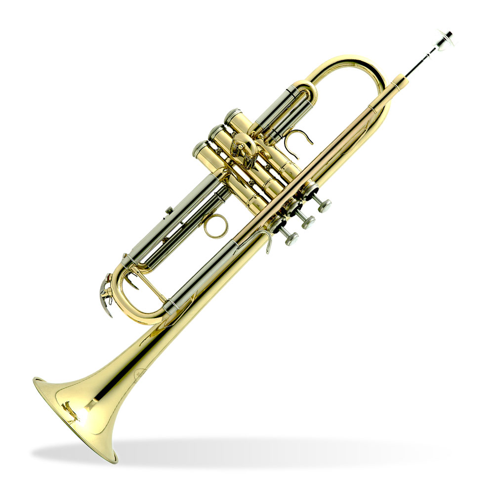 BE110-1-0-trompeta-new-standar-110-sib-besson-towsa Besson New Standard 110 Trompeta Sib - Imagen 1
