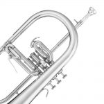 B&S  Flugel Sib - Imagen 2