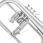 B&S  Flugel Sib - Imagen 3