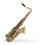 Selmer Paris Reference 54 Saxo Tenor Sib