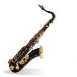Selmer Paris Serie II Jubilee Saxo Tenor Sib