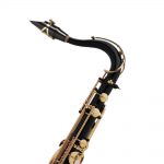 Selmer Paris Serie II Jubilee Saxo Tenor Sib - Imagen 2