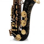 Selmer Paris Serie II Jubilee Saxo Tenor Sib - Imagen 4